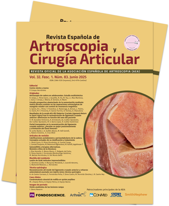 Cabecera Vol. 32. Fasc. 1. Núm. 83. Junio 2025