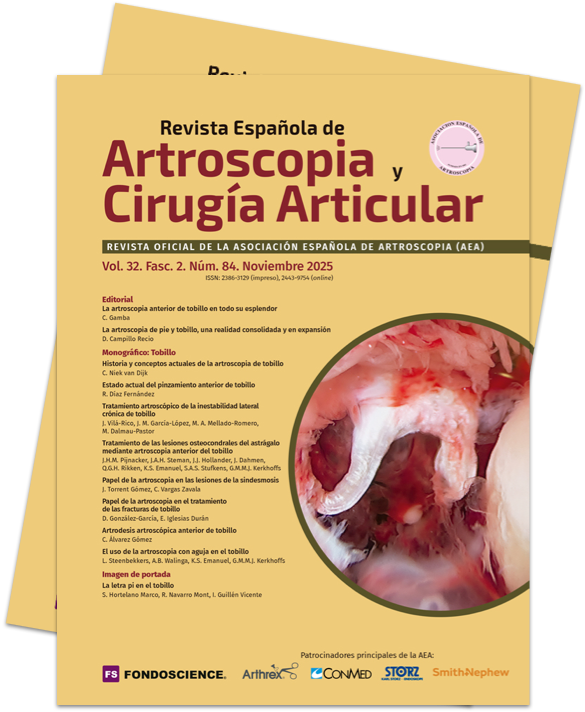 Cabecera Vol. 32. Fasc. 2. Núm. 84. Noviembre 2025