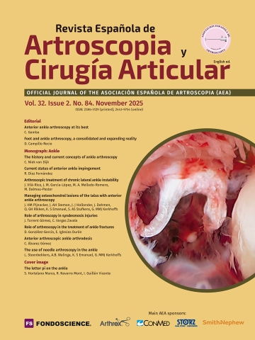 Portada Vol. 32. Issue 2. No. 84. November 2025